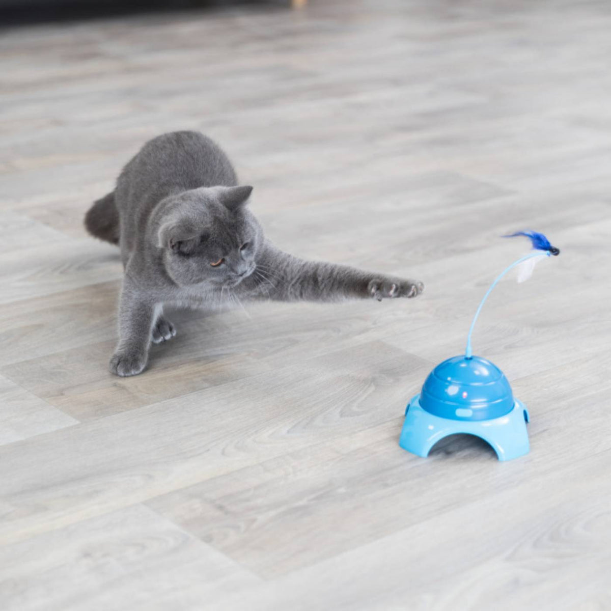 Trixie Gioco Catch Me ø 15 x 21 cm per Gatti in Platica con Telecomando
