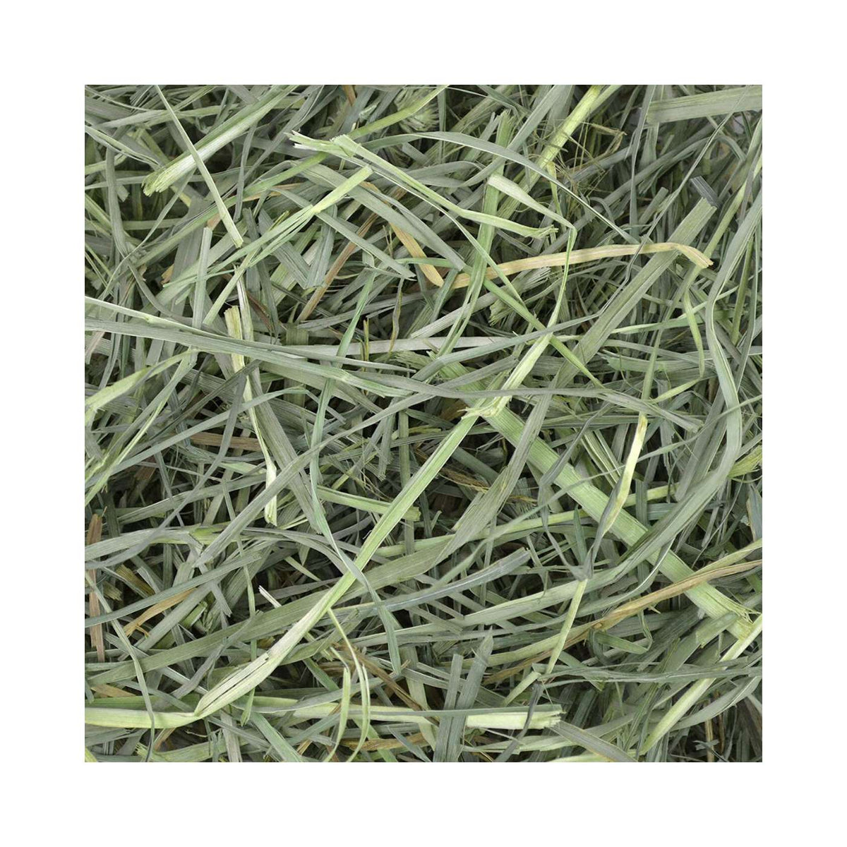 Fieno Oxbow Orchard Grass Hay