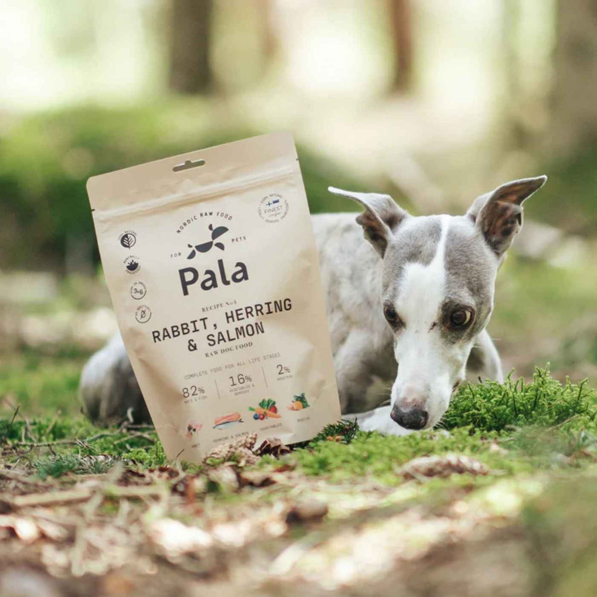 Pala Alimento Completo per Cani con Coniglio Aringa & Salmone Ricetta N° 4
