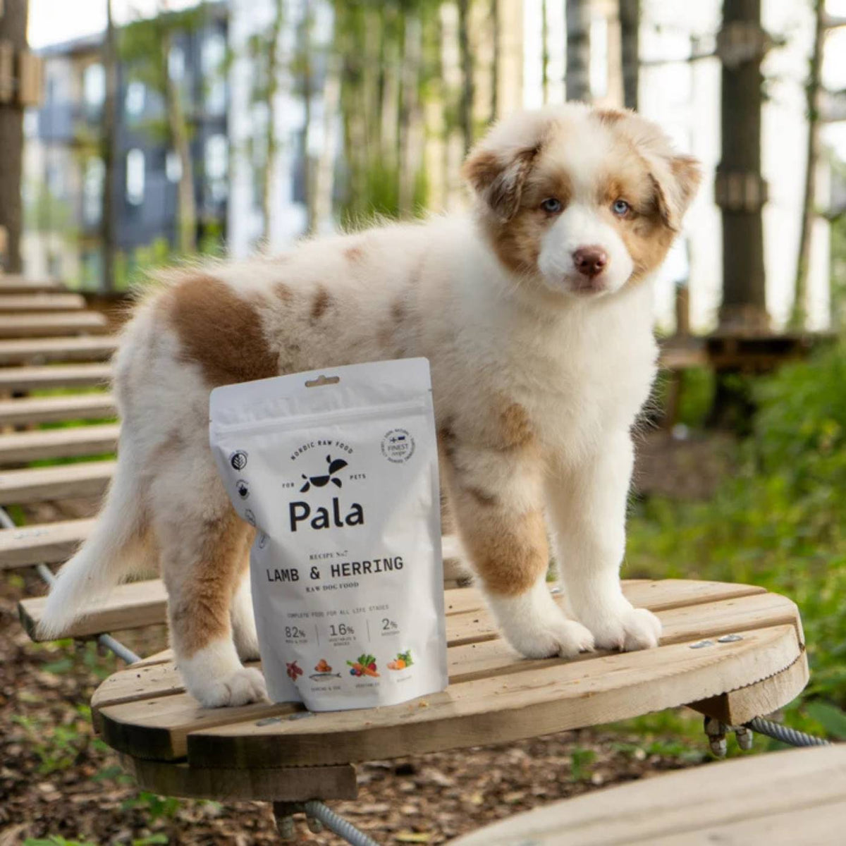 Pala Alimento Completo per Cani con Agnello & Aringa Ricetta N° 7