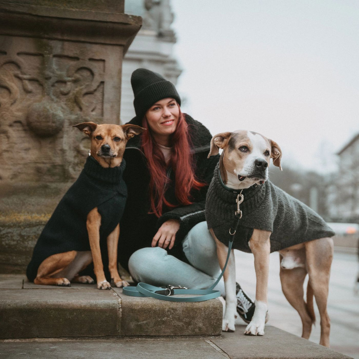 HUNTER GENF Antracite – Maglione in Maglia per Cani con Collo Alto