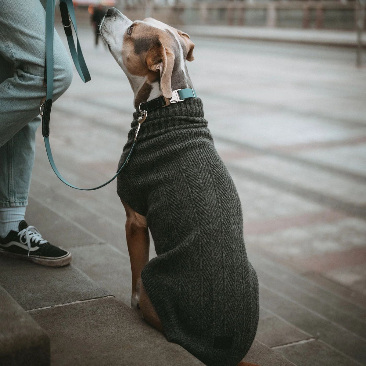 HUNTER GENF Antracite – Maglione in Maglia per Cani con Collo Alto