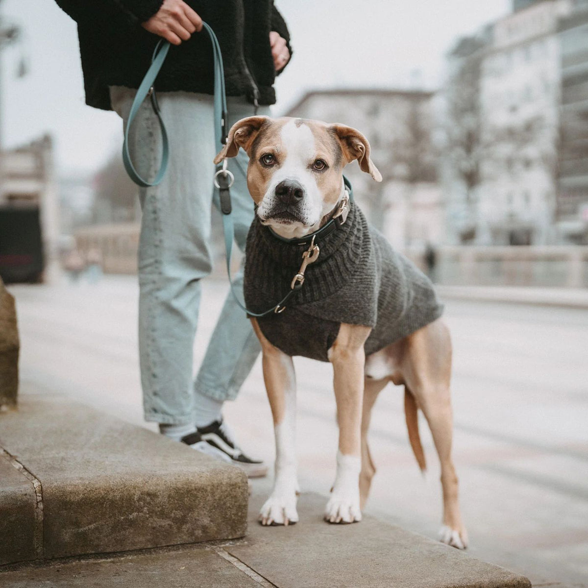 HUNTER GENF Antracite – Maglione in Maglia per Cani con Collo Alto