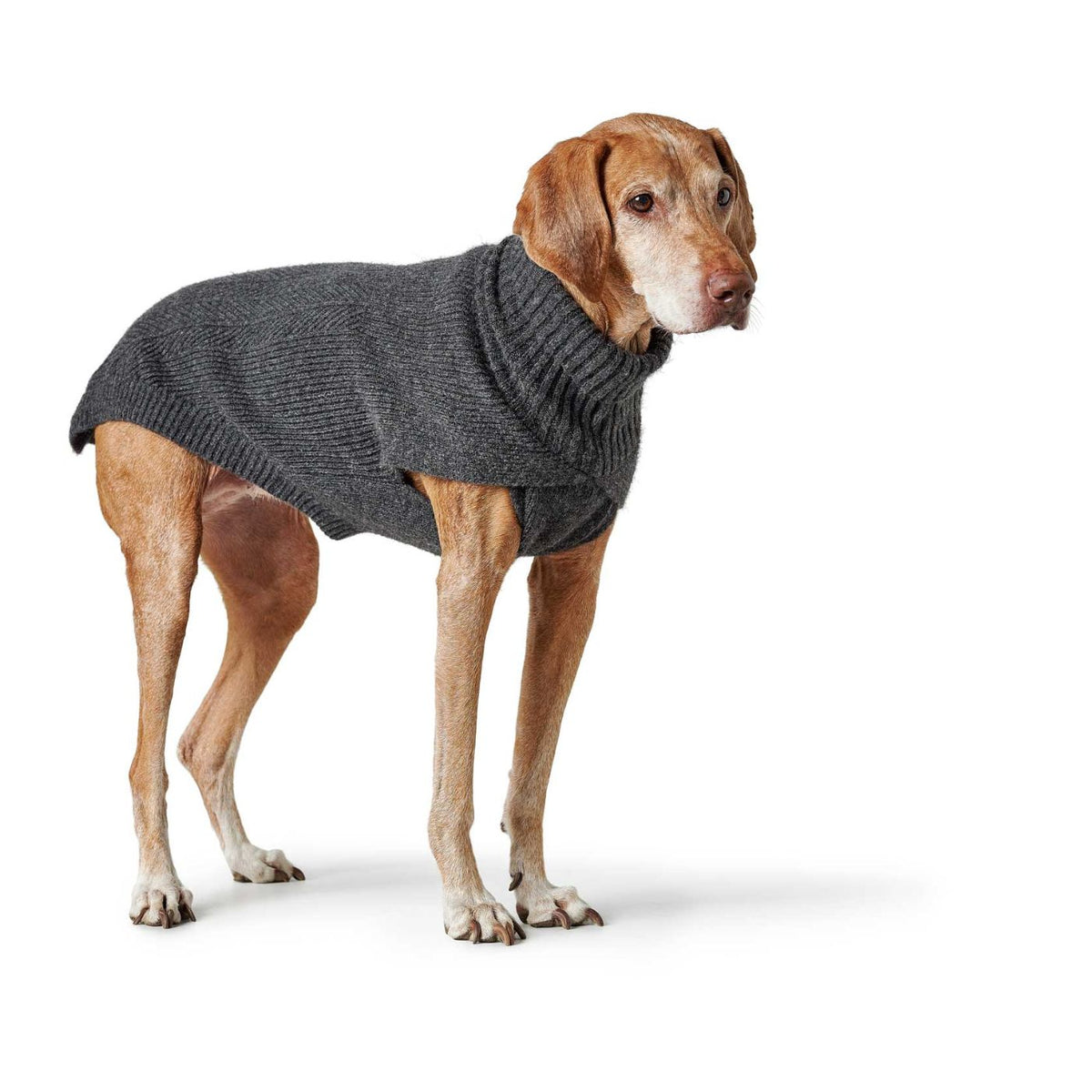 HUNTER GENF Antracite – Maglione in Maglia per Cani con Collo Alto