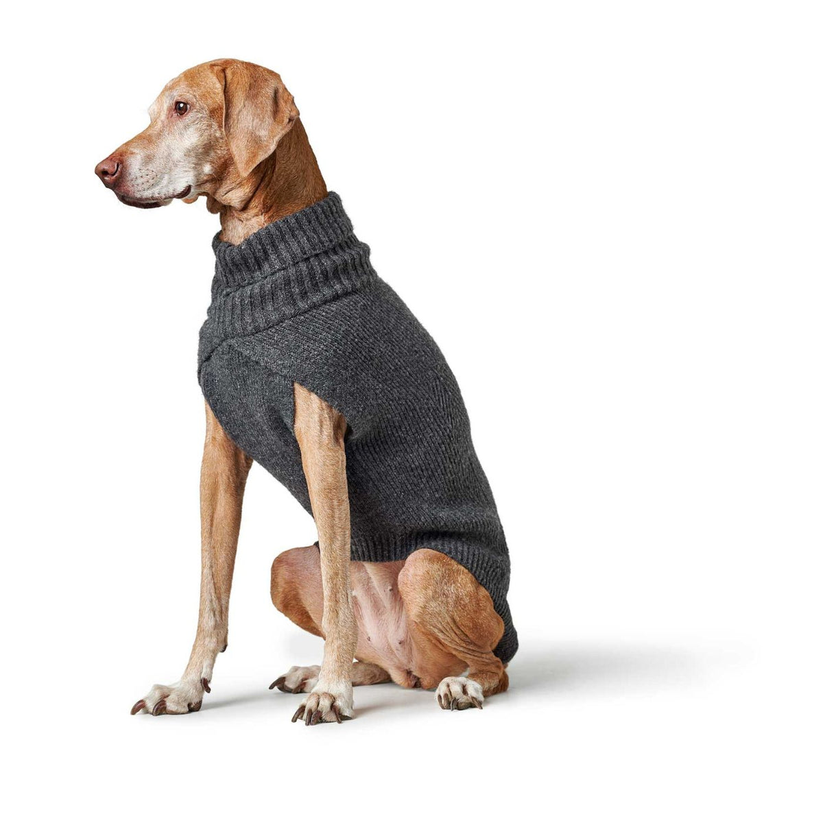 HUNTER GENF Antracite – Maglione in Maglia per Cani con Collo Alto