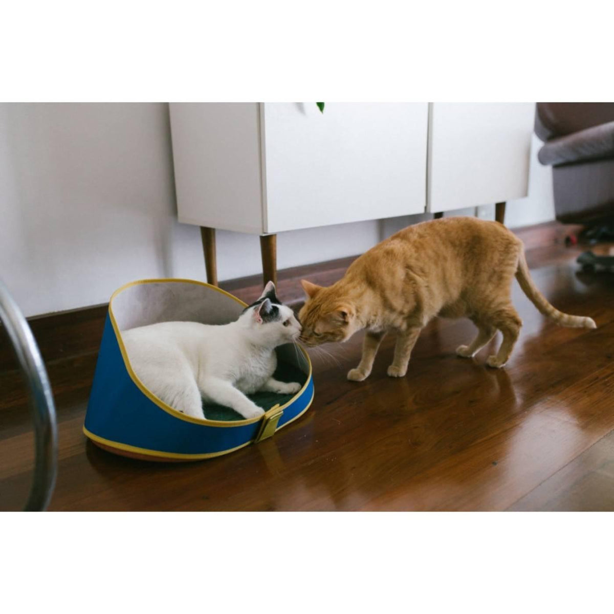 Zee.Cat Cuccia per Gatti Bed Polo 27x46x23 cm
