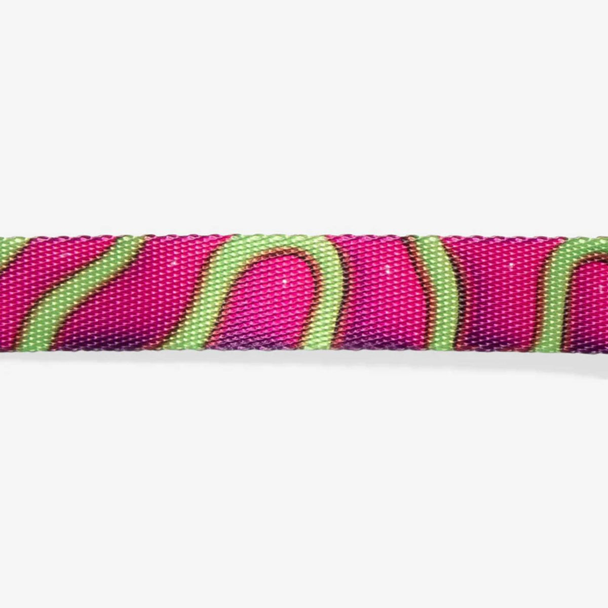 Zee.Dog Collare Regolabile per Cani Jelly H3D