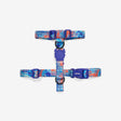 XS torace 23-38 cm