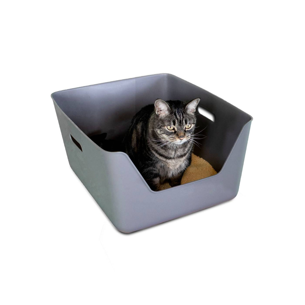 CDSG Lettiera Toilette per Gatti Grigia