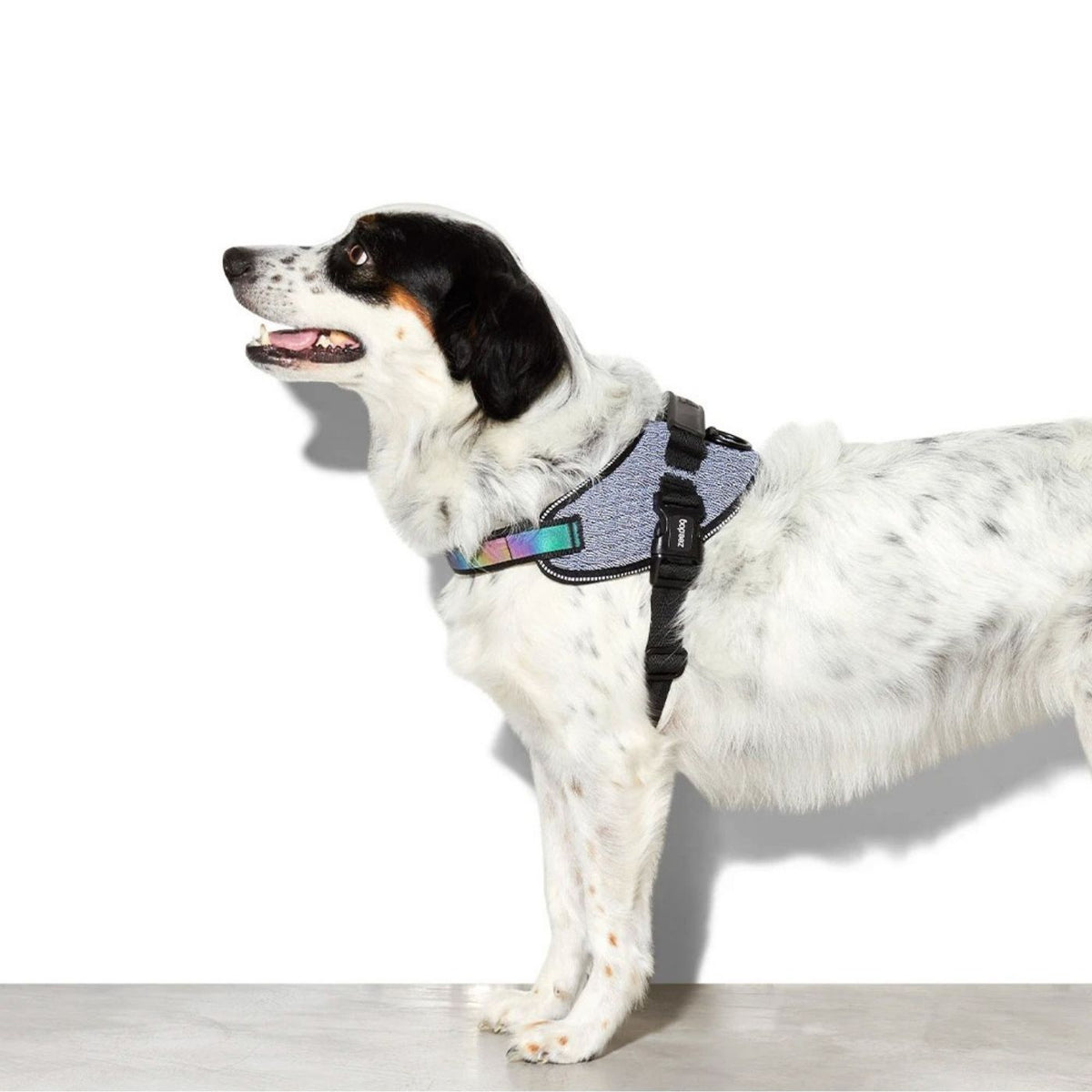 Zee.Dog Pettorina con Maniglia per Cani Urban
