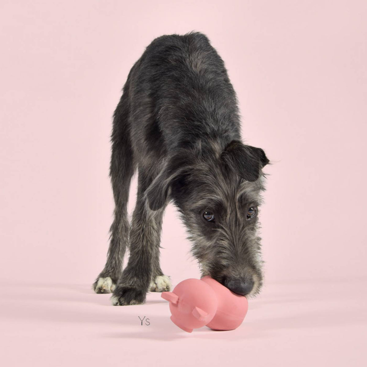 United Pets® Gioco in Lattice Naturale per Cani Pinky Pigs