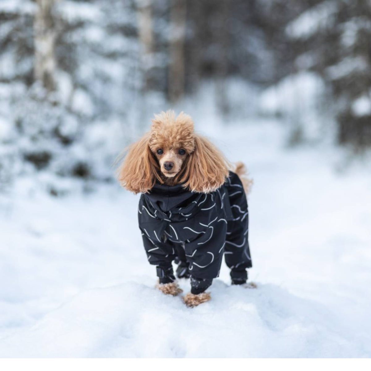 Paikka Giacca Invernale Lunga ad Alta Visibilità per Cani Nero