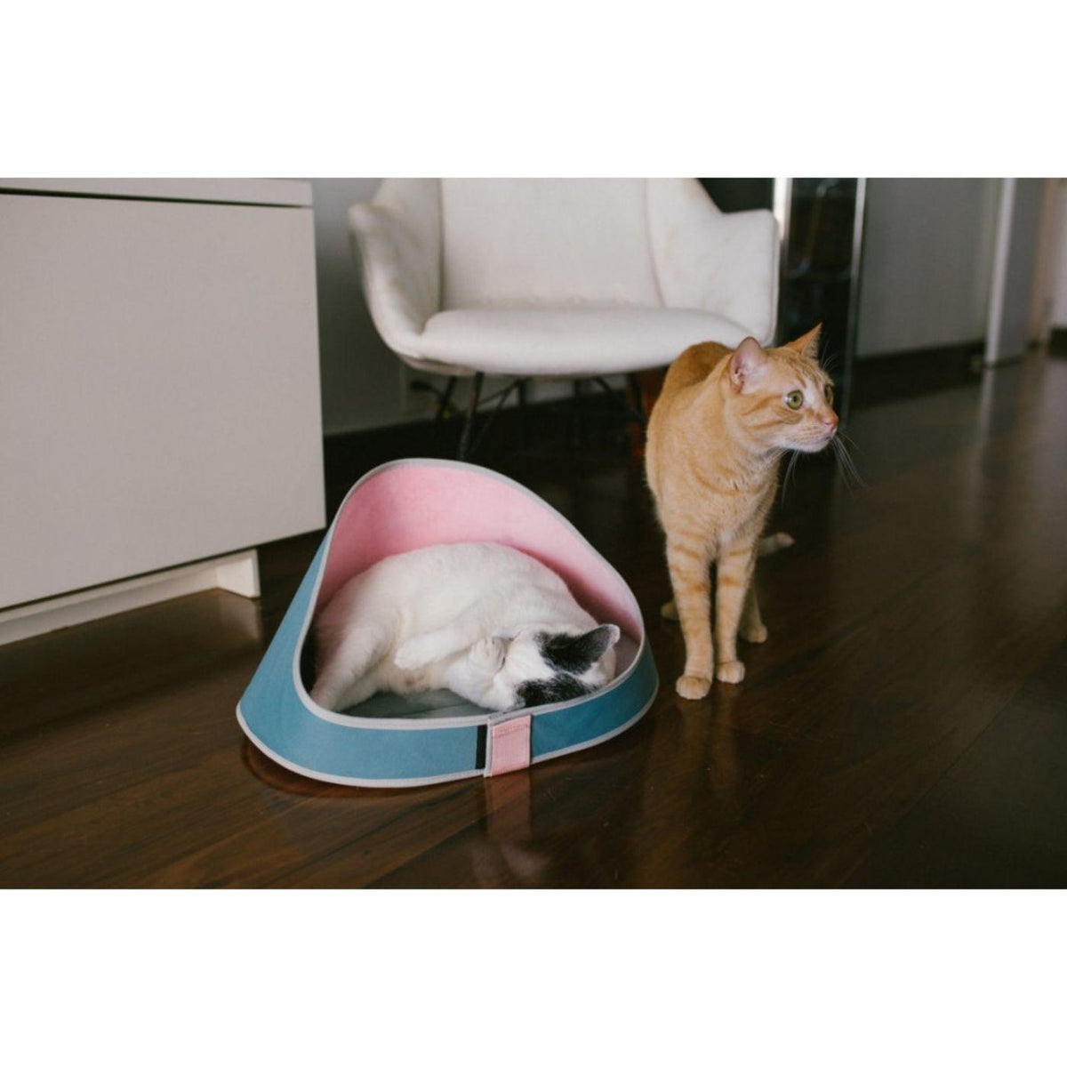 Zee.Cat Cuccia per Gatti Bed Kombucha 27x46x23 cm