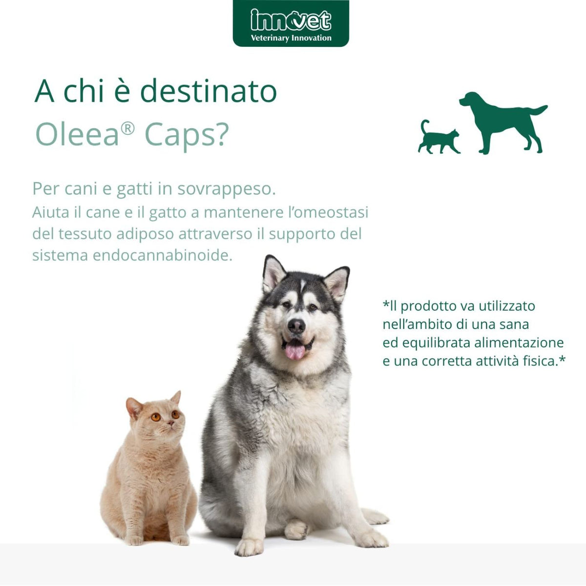 Oleea Caps 60 Capsule per Cani e Gatti in Sovrappeso Innovet