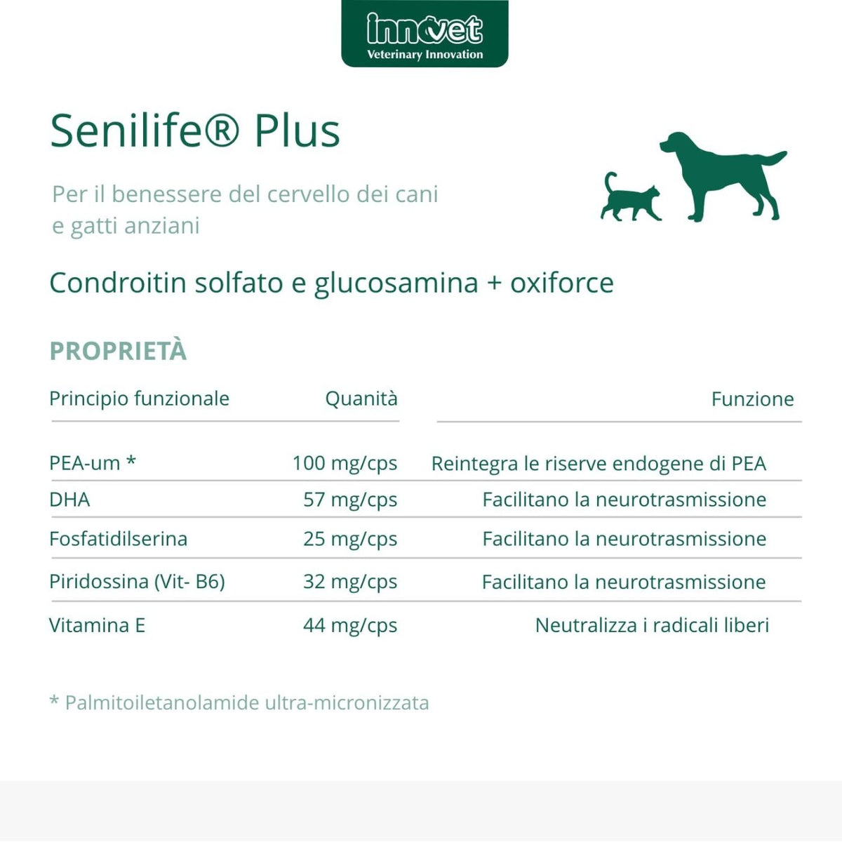 Senilife Plus per Cani e Gatti Anziani Innovet