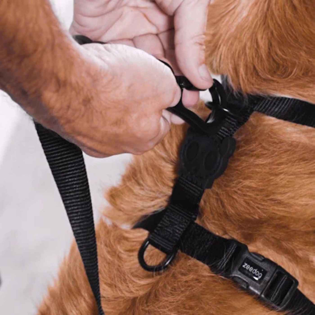 Zee.Dog Pettorina ad H per Cani Fly H3D