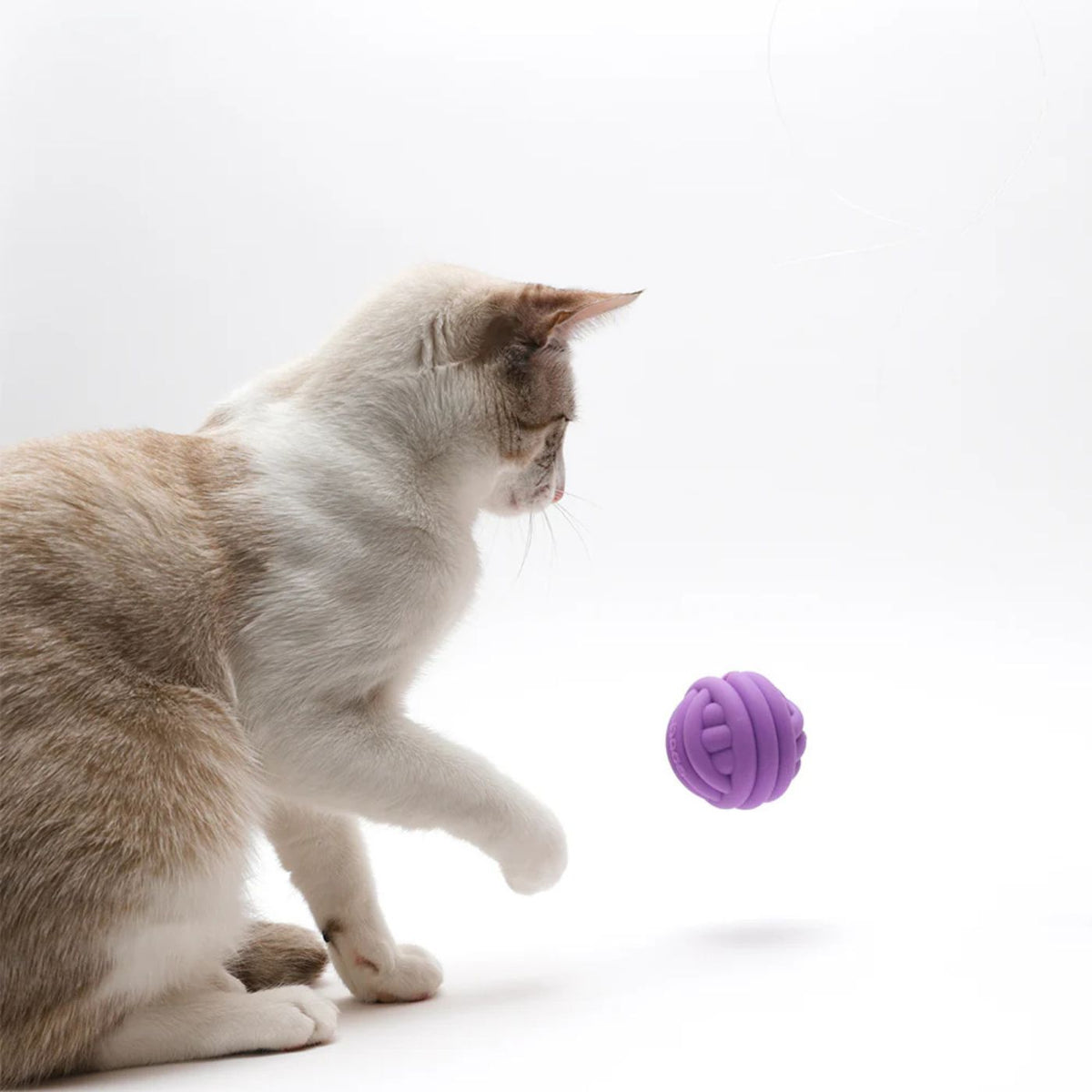 CDSG Gioco per Gatti Palla per Dolcetti