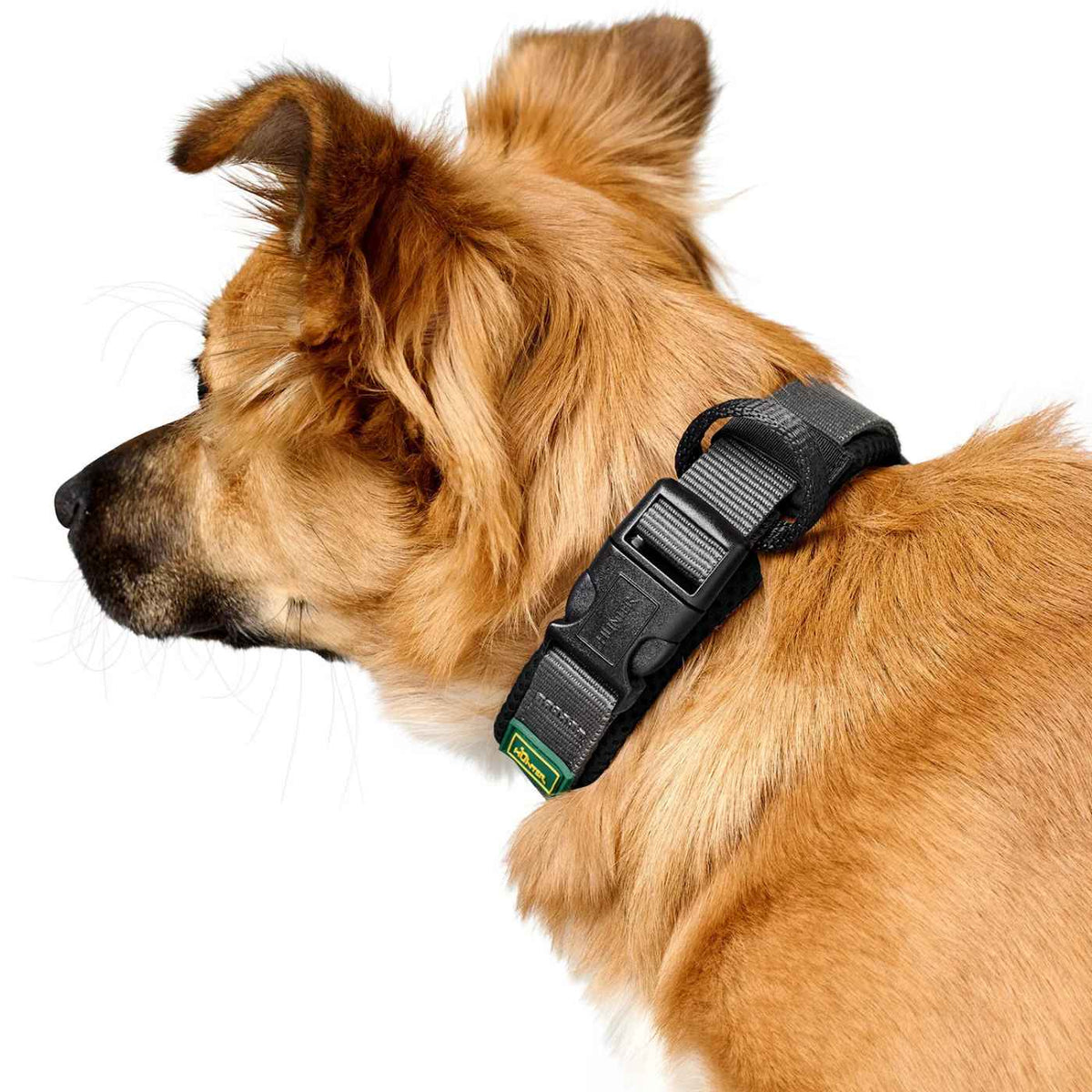 Hunter Collare per Cani Regolabile Maldon Nero/Grigio Riflettente