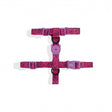 XS torace 23-38 cm