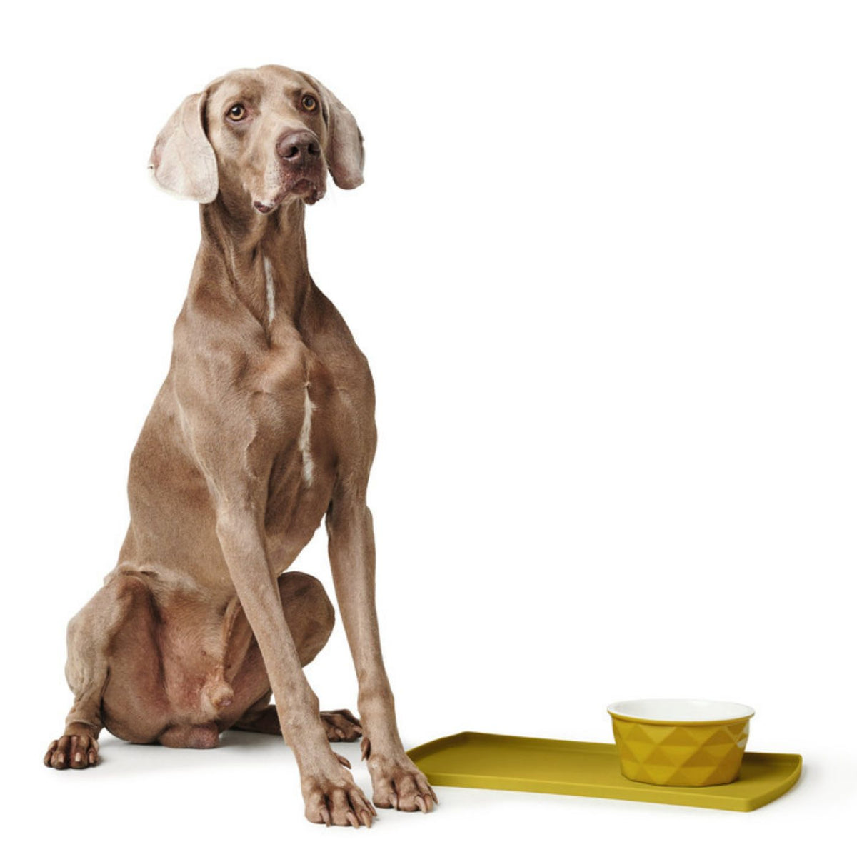 Hunter Sottociotole per Cani e Gatti Eiby in Silicone Giallo 48 x 30 cm