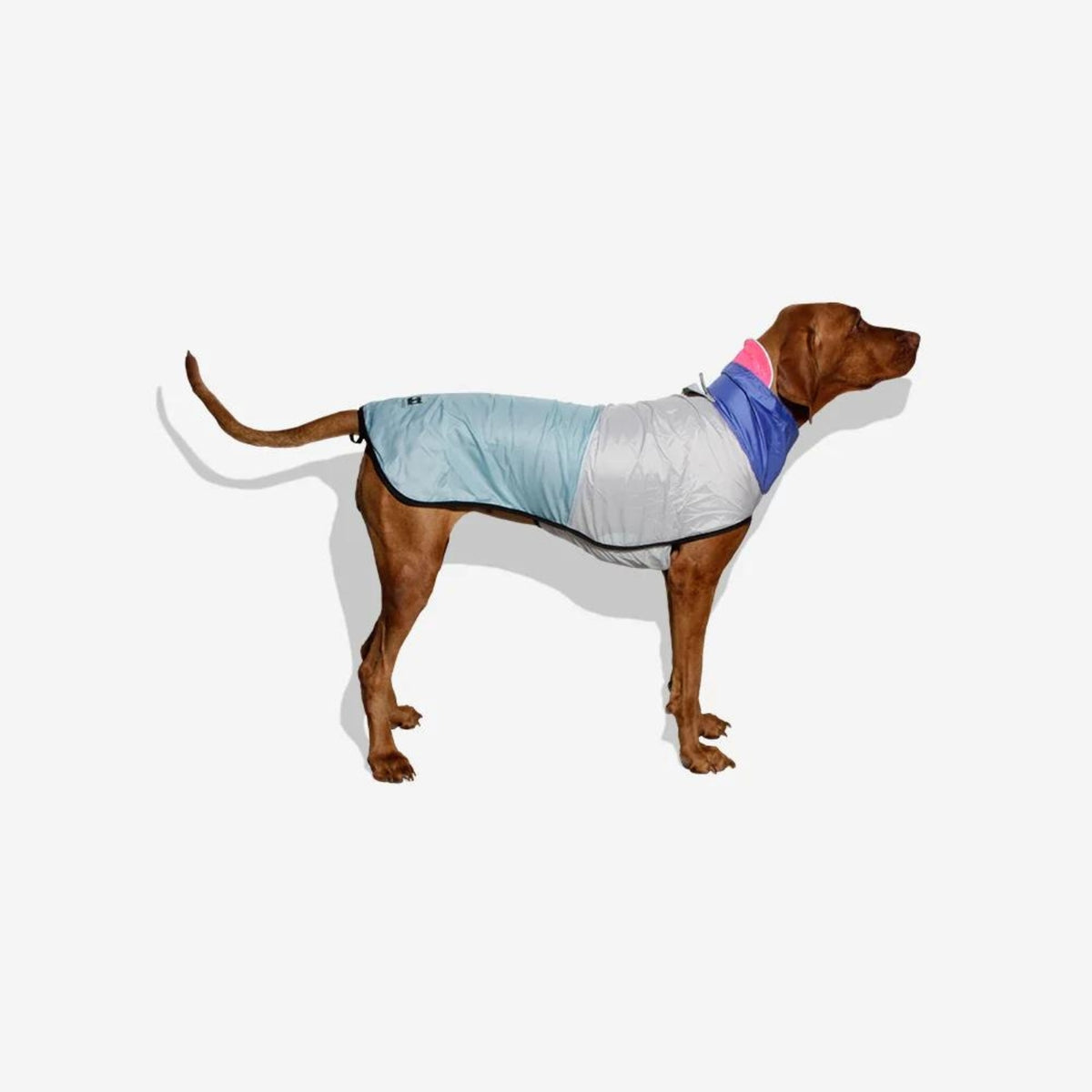 Zee.Dog Impermeabile per Cani 90'S