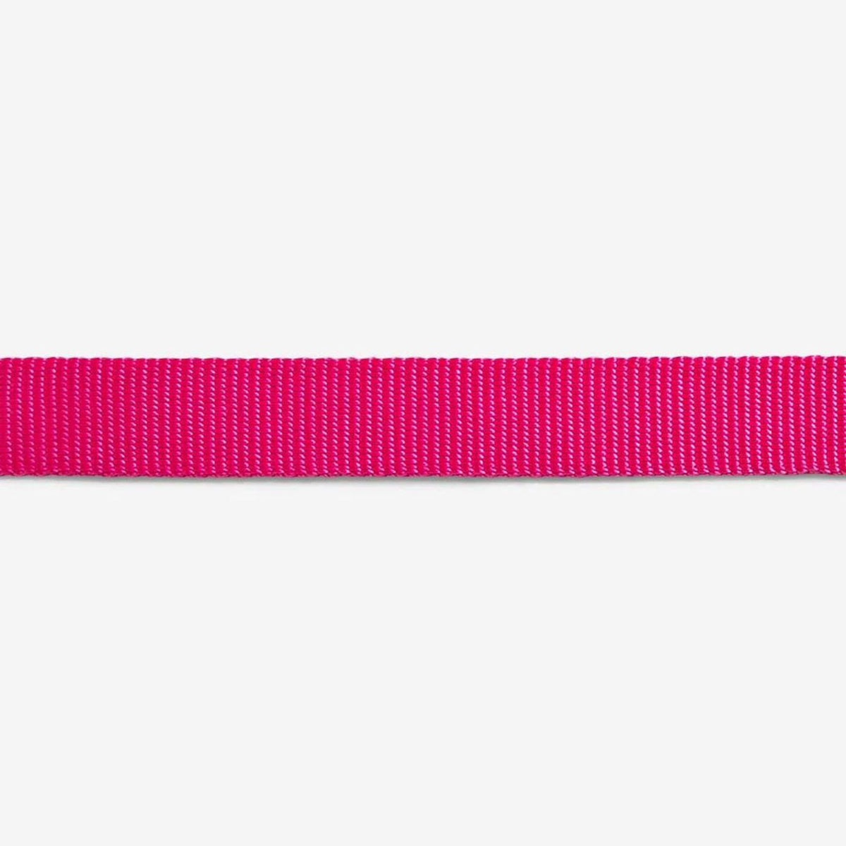 Zee.Dog Collare Regolabile per Cani Pink Led