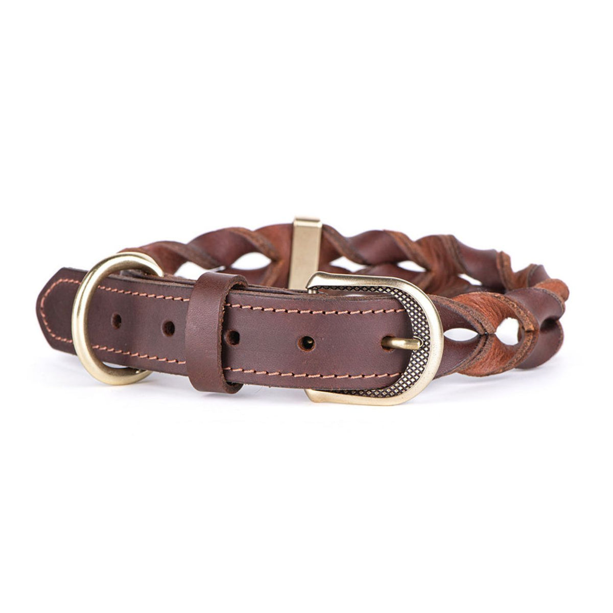 MyFamily Collare per Cani in Cuoio Ingrassato Marrone Ascot con Finiture in Ottone Inglese