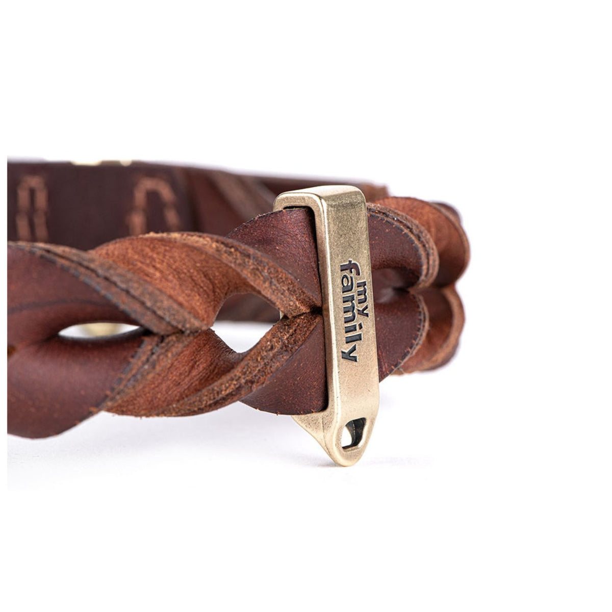 MyFamily Collare per Cani in Cuoio Ingrassato Marrone Ascot con Finiture in Ottone Inglese