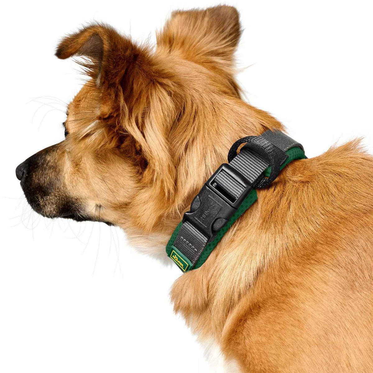 Hunter Collare per Cani Regolabile Maldon Verde Scuro/Grigio Riflettente