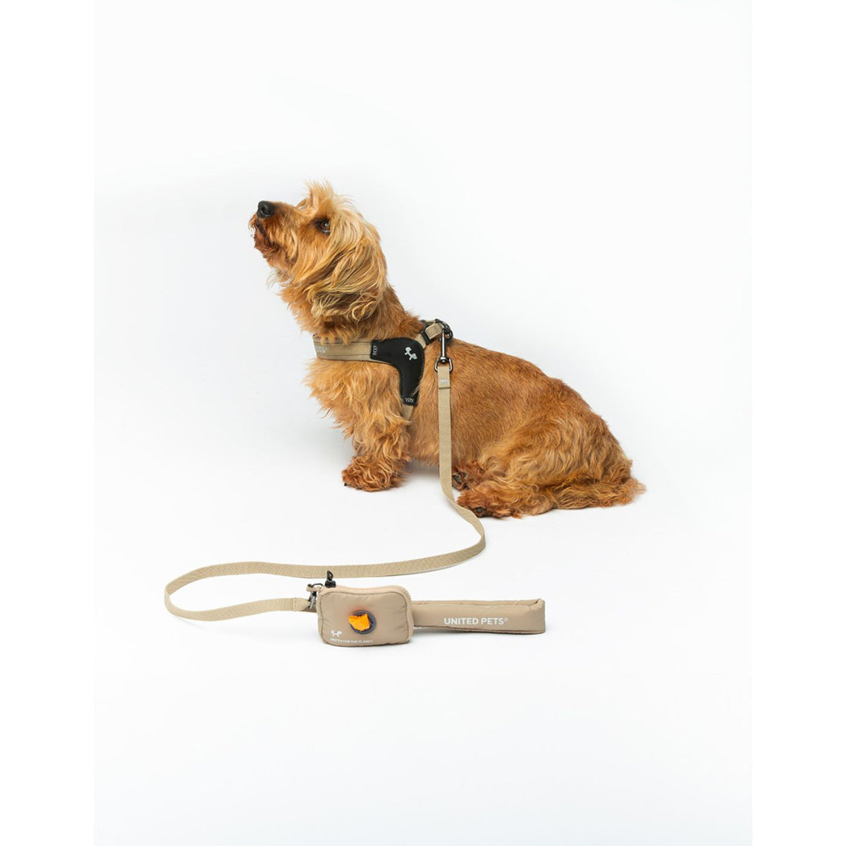 United Pets Pettorina per Cani Aggancio Rapido Linea CityLife Beige