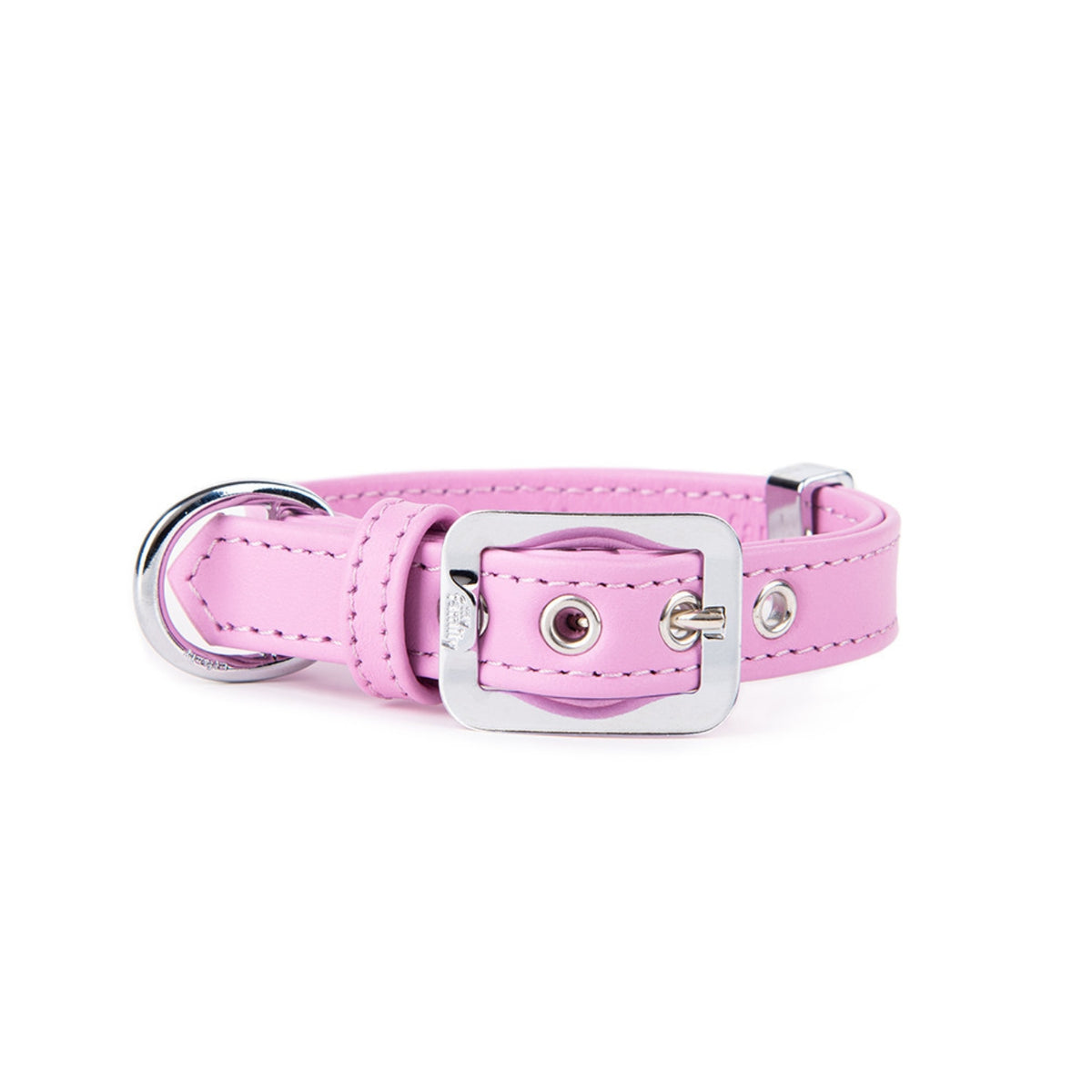 MyFamily Collare per Cani in Vera Pelle Glicine Hermitage con Finiture in Bronzo Bianco