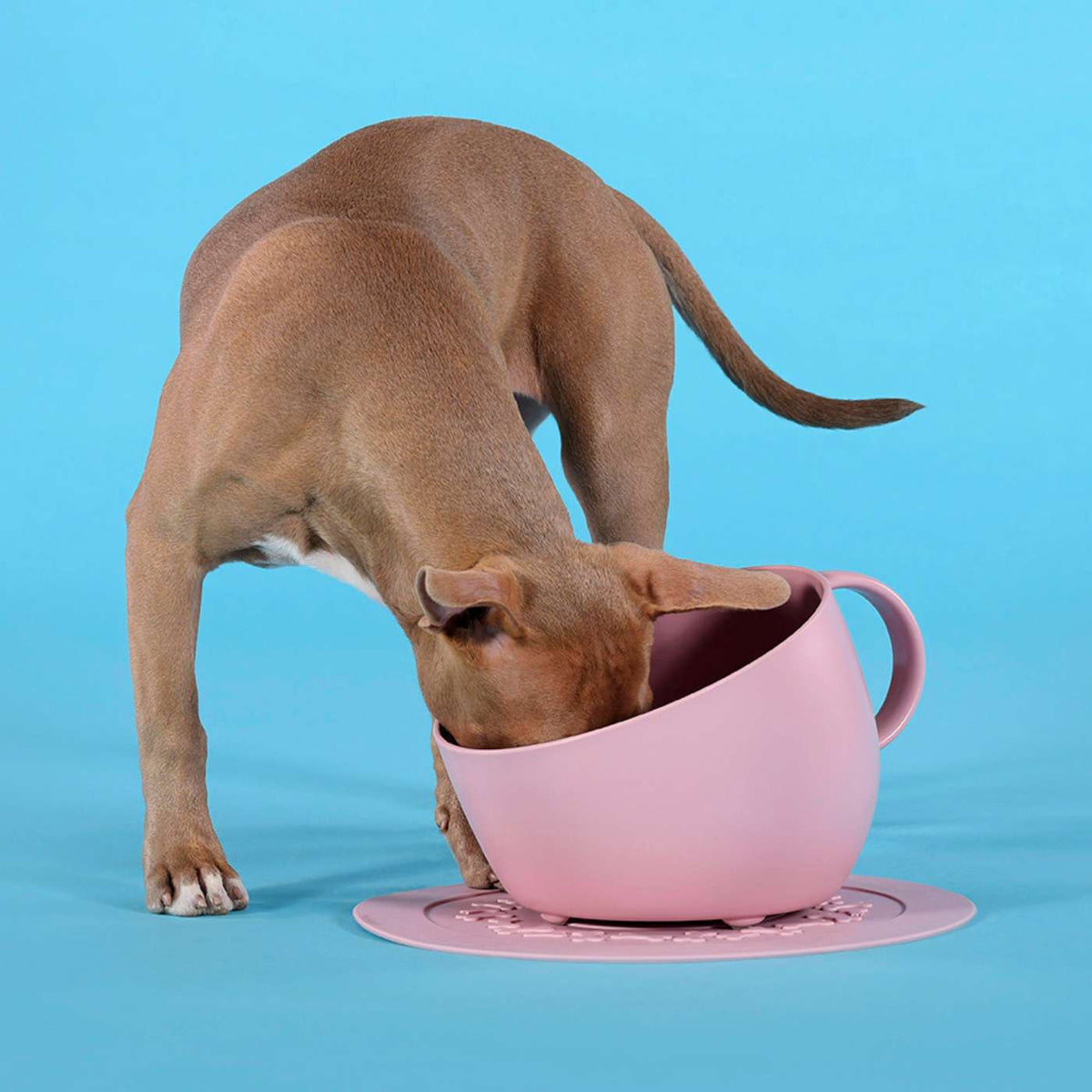 United Pets SET Ciotola e Sotto Ciotola per Cani CUP e PLATE in Polipropilene Rosa Antico