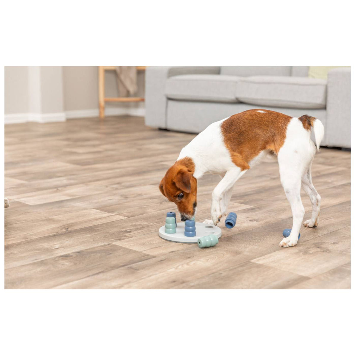 Trixie Gioco Interattivo per Cani di Piccola Taglia Activity Mini Solitaire Ø 20 cm