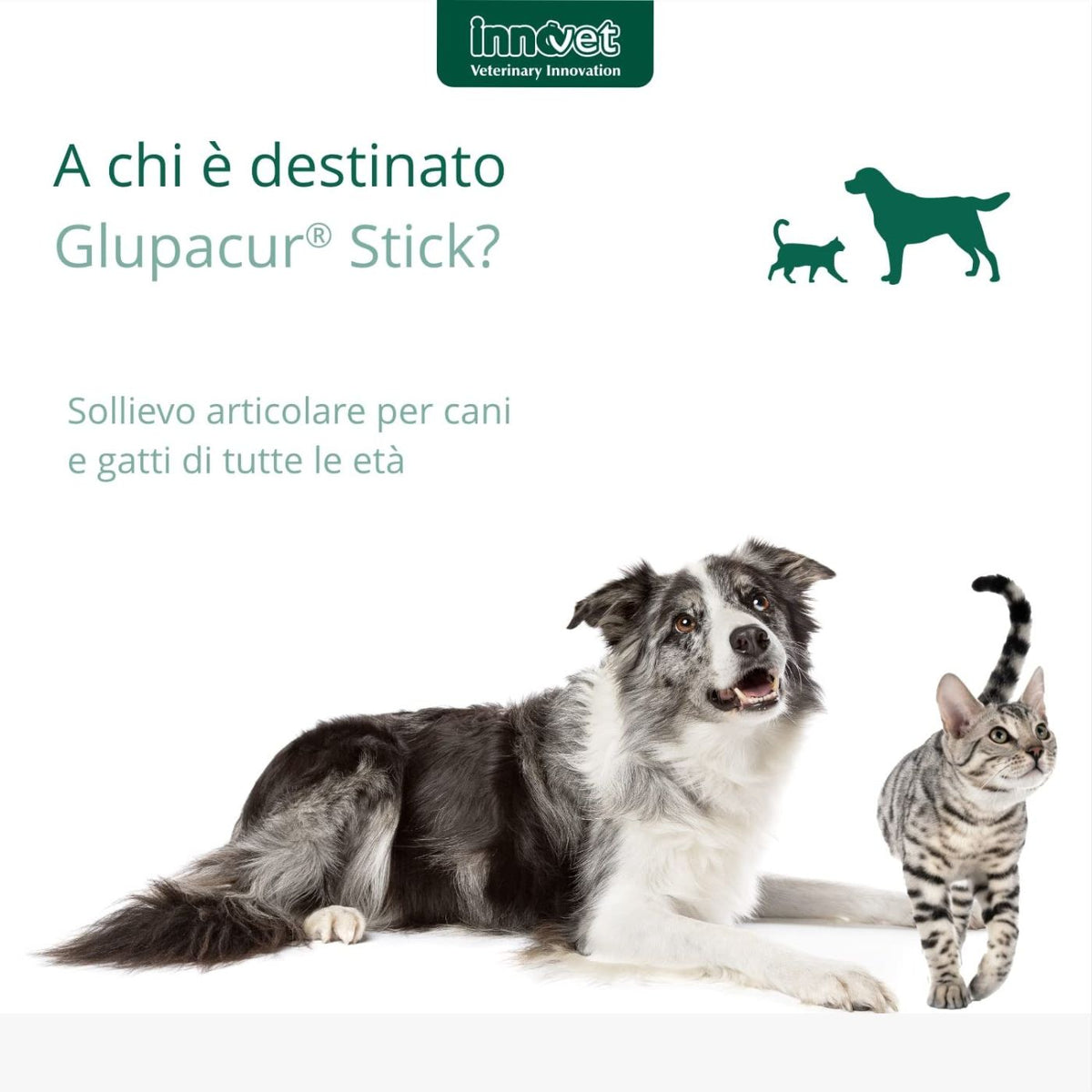 Glupacur Stick Integratore Articolare per Cani e Gatti di Tutte le Età 30 Stick Orali Innovet