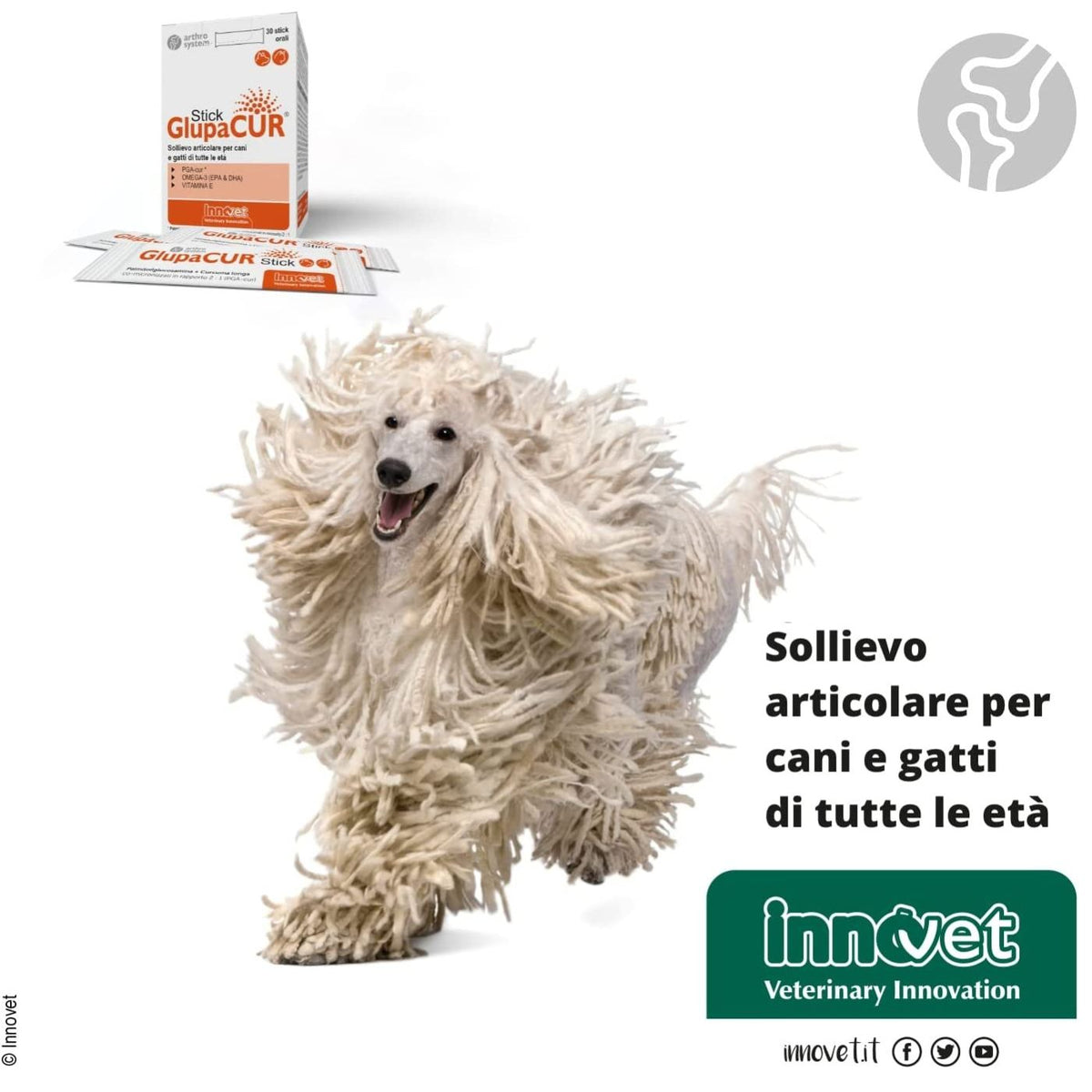 Glupacur Stick Integratore Articolare per Cani e Gatti di Tutte le Età 30 Stick Orali Innovet