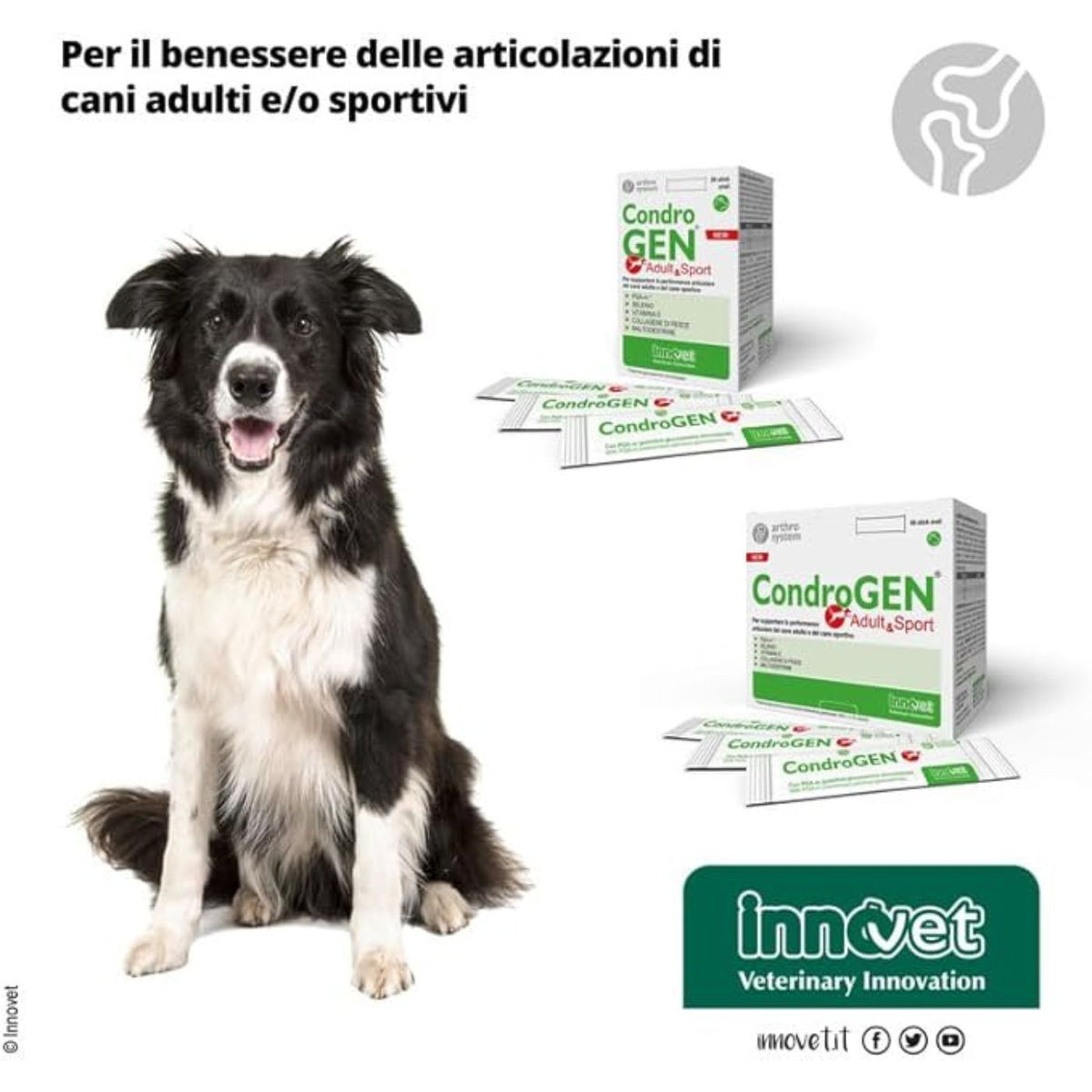 Condrogen Adult &amp; Sport per Cani Stick Innovet