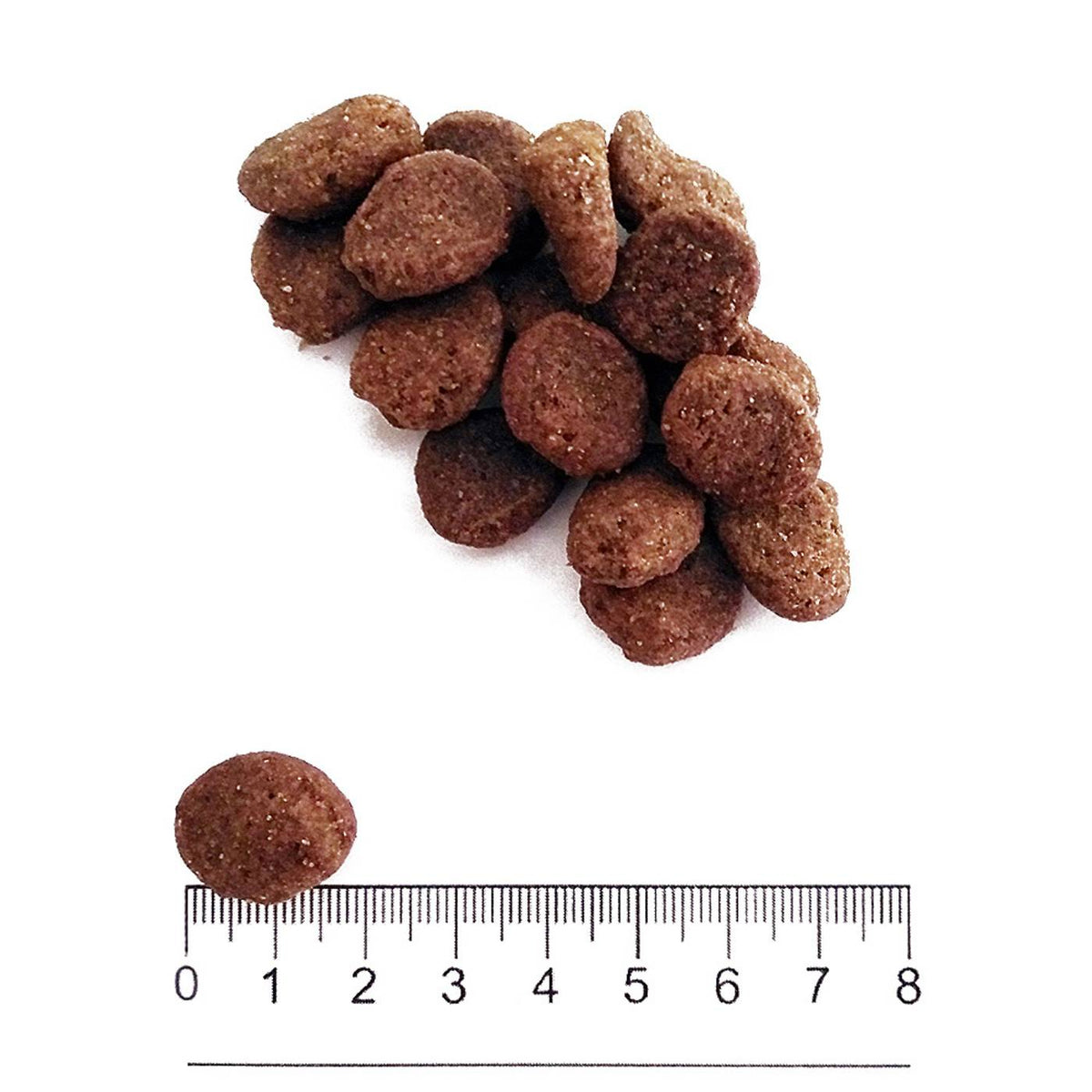 Prolife® Grain Free Sensitive Adult Medium Large Sole Pesce e Patate per Cani 10 Kg