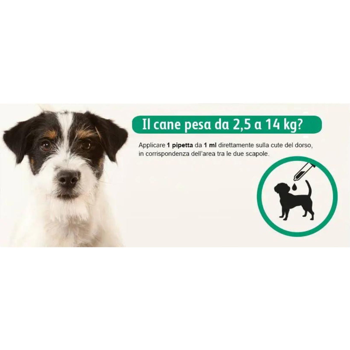 Exspot Spot-On Antiparassitario per Cani