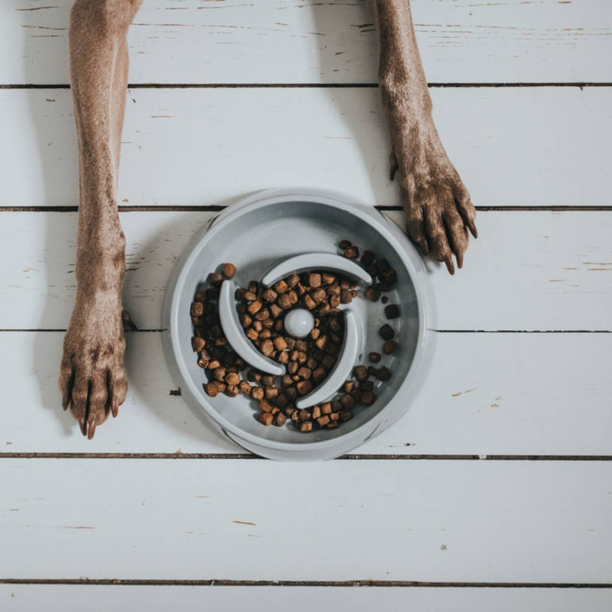 Hunter Ciotola Anti-Ingozzamento per Cani Atlanta in Melamina Grigia