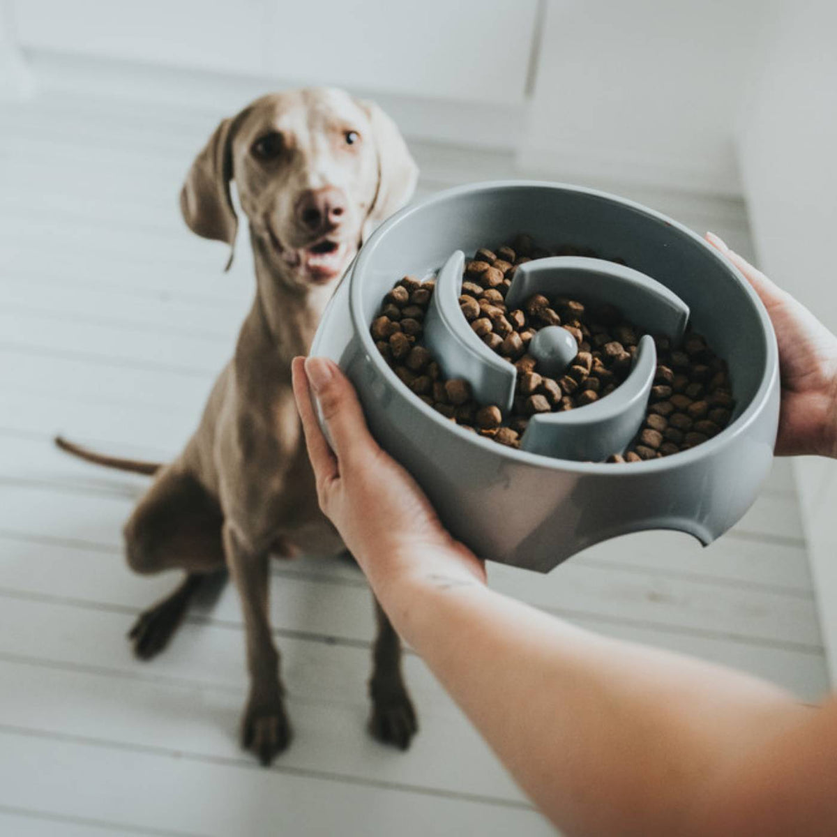 Hunter Ciotola Anti-Ingozzamento per Cani Atlanta in Melamina Grigia