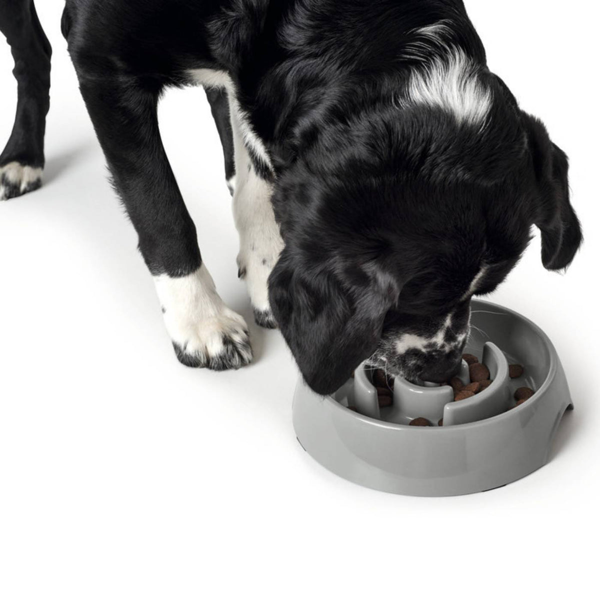 Hunter Ciotola Anti-Ingozzamento per Cani Atlanta in Melamina Grigia