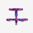 XS torace 23-38 cm