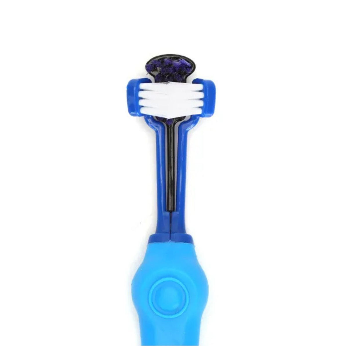 Set di Spazzolini da Denti per Cani