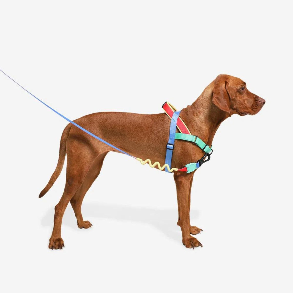 Zee.Dog Pettorina Norvegese per Cani Softer-Walk per Cani Mellow
