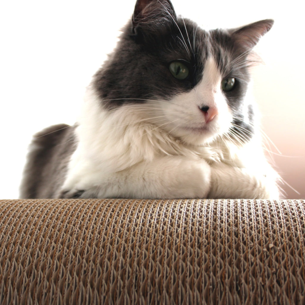 Tiragraffi per Gatti PetValley in Cartone mod. Grattone Kraft
