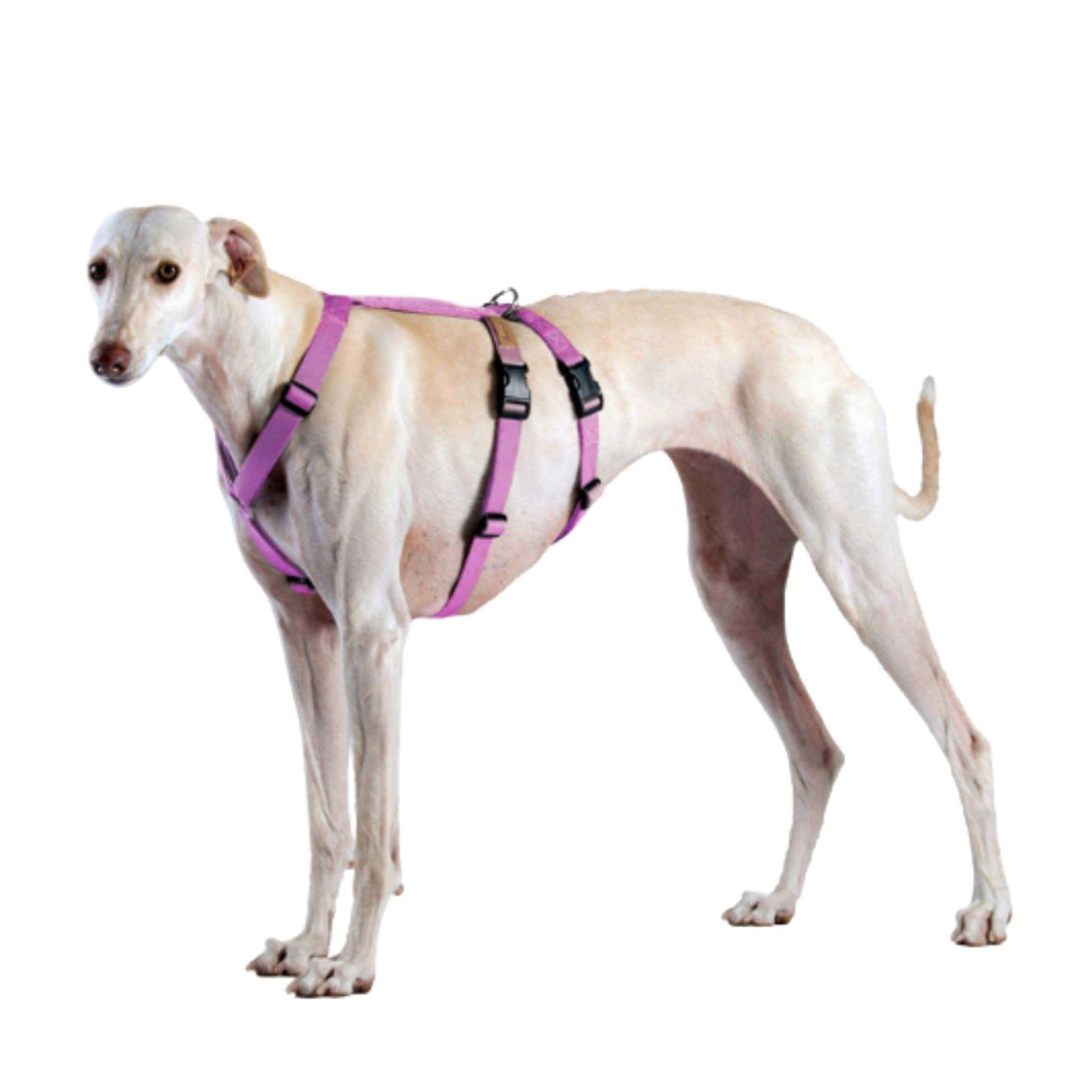 Haqihana Pettorina Doppia H Antifuga per Cani Pink