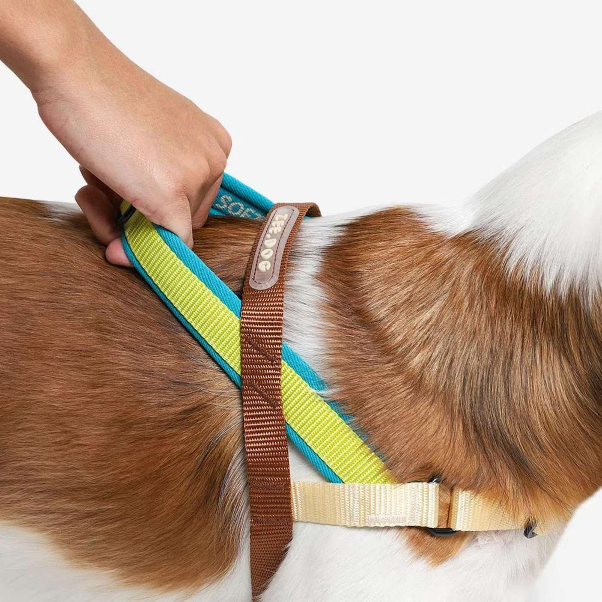 Zee.Dog Pettorina Norvegese Softer-Walk per Cani Avocado