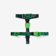 XS torace 23-38 cm