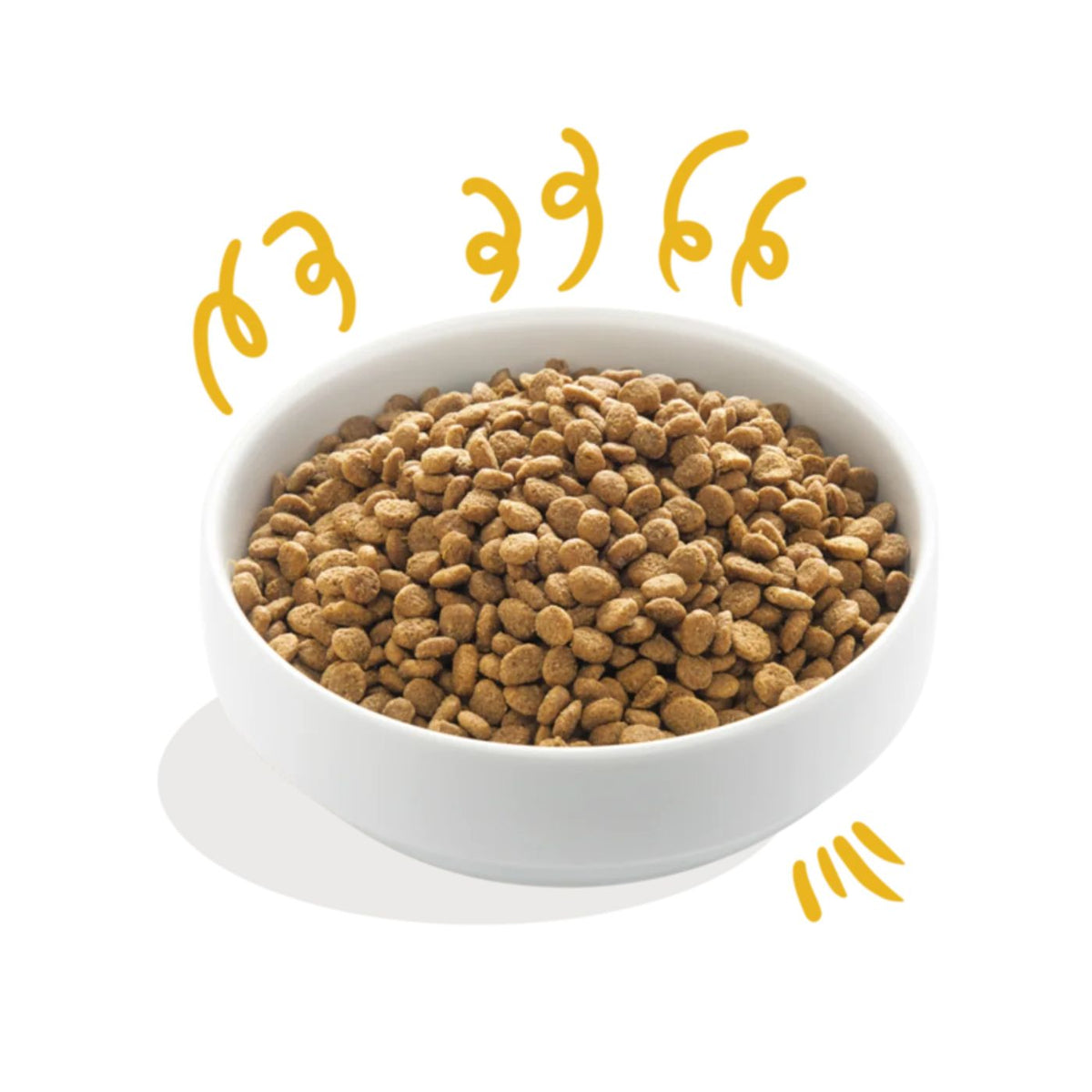 Edgard &amp; Cooper Adult Carne Fresca di Tacchino e Pollo Biologici Gluten Free per Cani