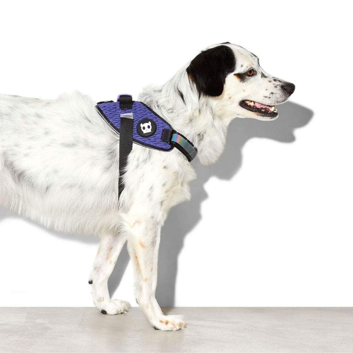 Zee.Dog Pettorina con Maniglia per Cani Wicked